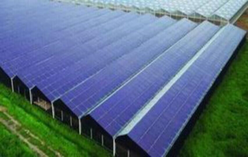 ����һ�w������վ  (1)